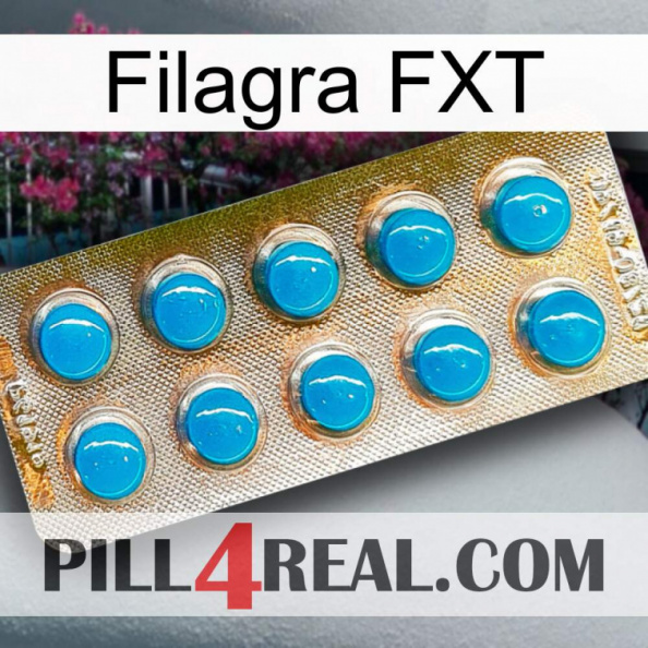 Filagra FXT new09.jpg